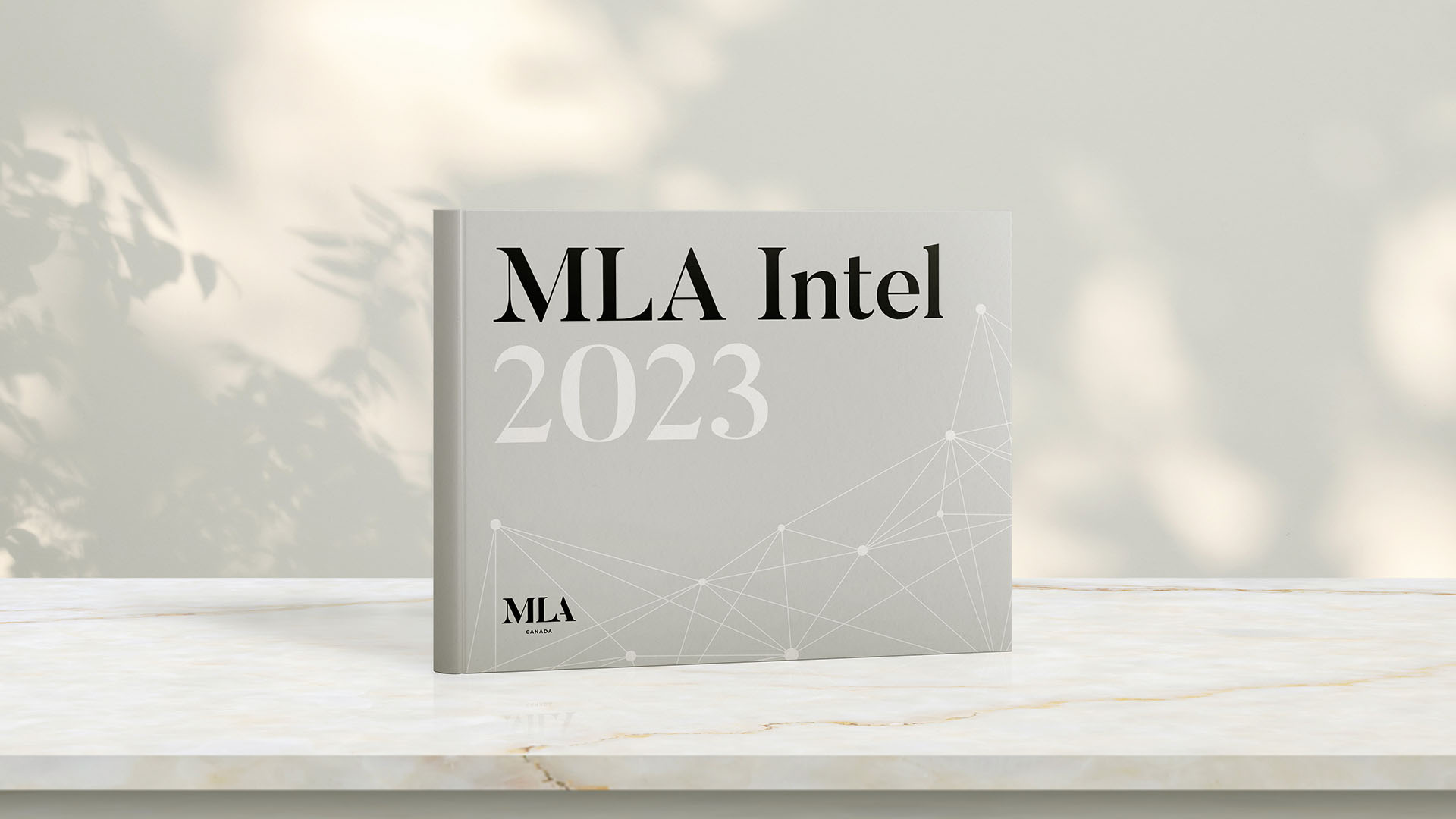MLA Intel 2023