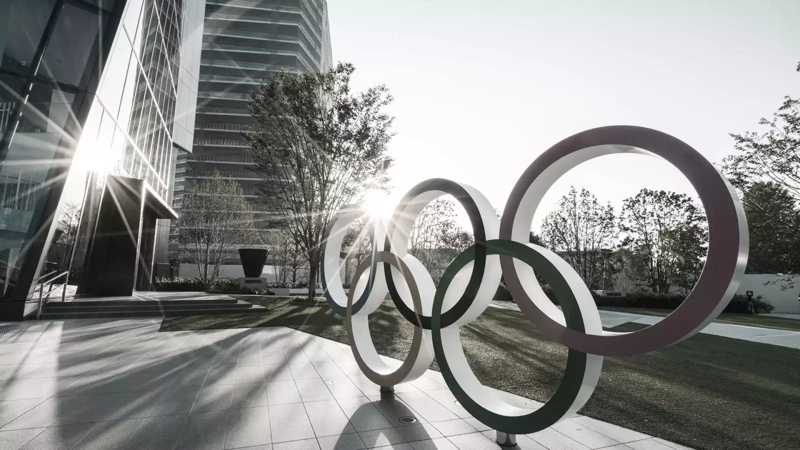 Former Olympian turns Real Estate Pro 