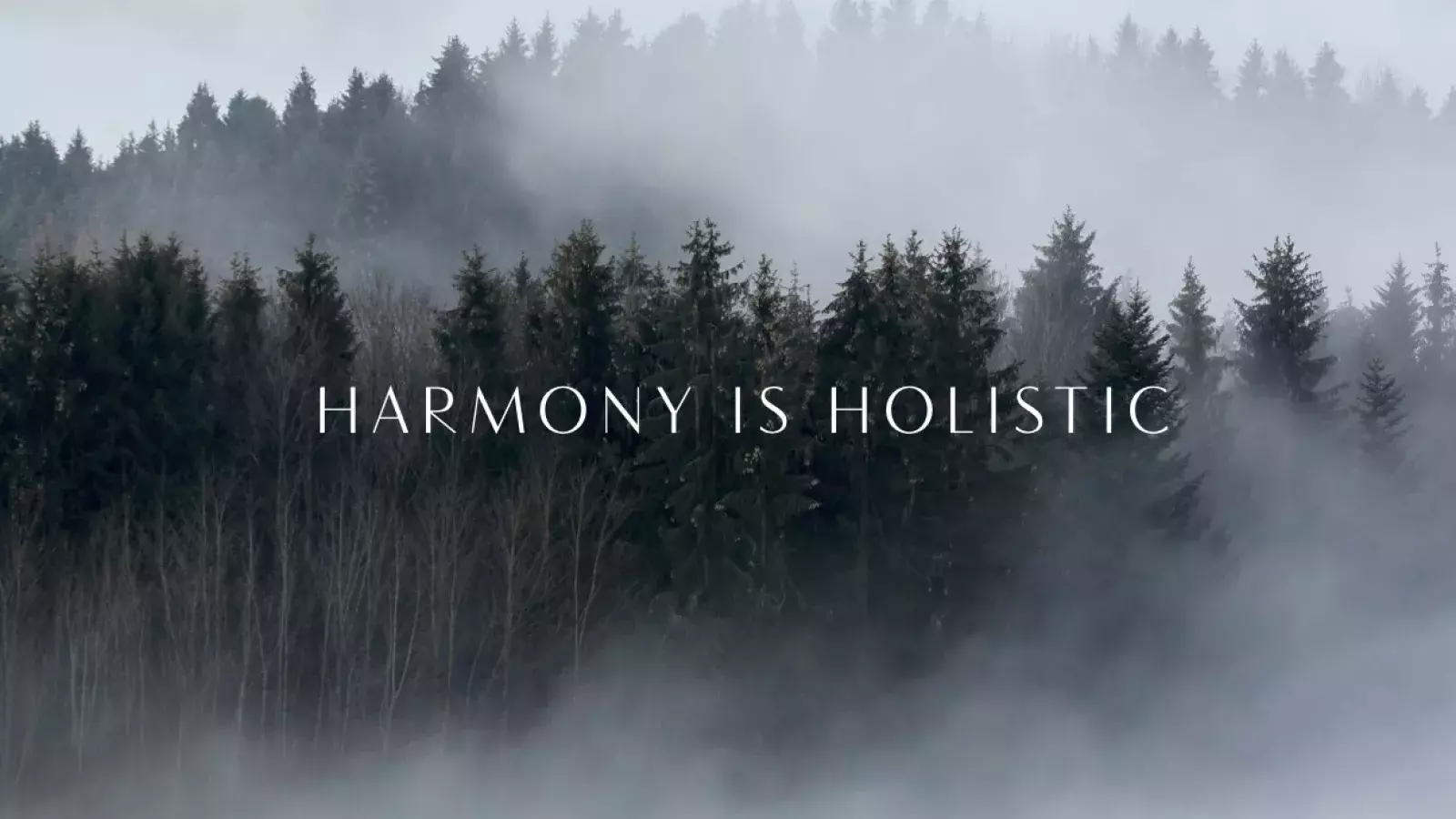 Harmony is holistic 